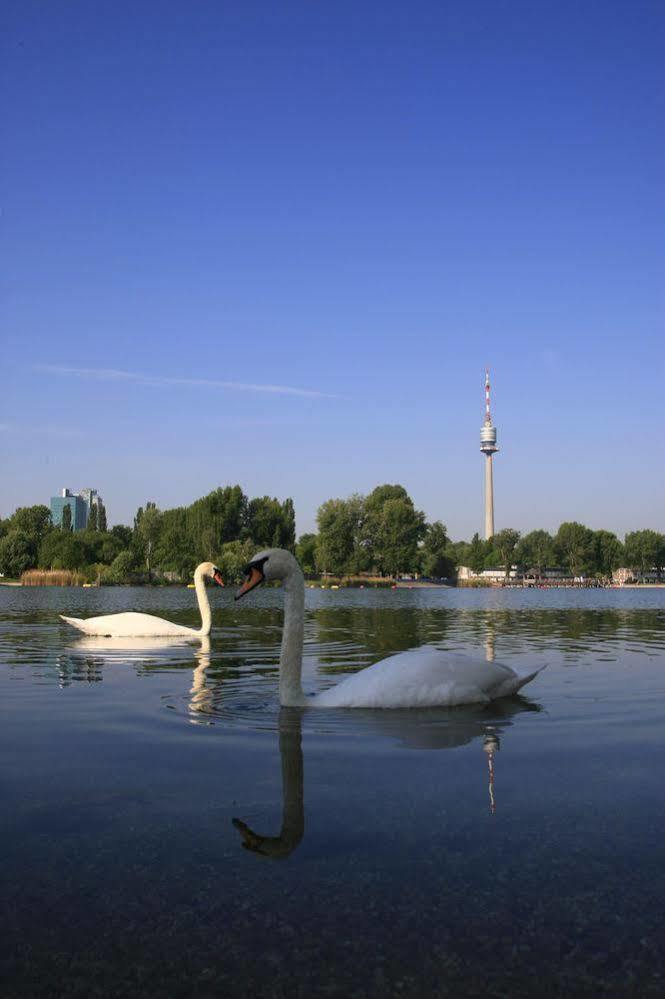 Ajo Garden Terrace Studio Apartments - Self-Check-In Vienna Esterno foto